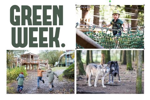 GREEN WEEK