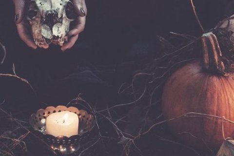 HALLOWEEN PARTY