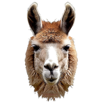 Forestia-illustration-Animal-totem-13