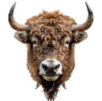Forestia-illustration-Animal-totem-15