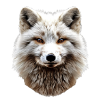 Forestia-illustration-Animal-totem-8