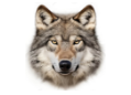 Mask Group 114306