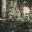 BB-20240613-2909@2x-aspect-ratio-63-63.jpg